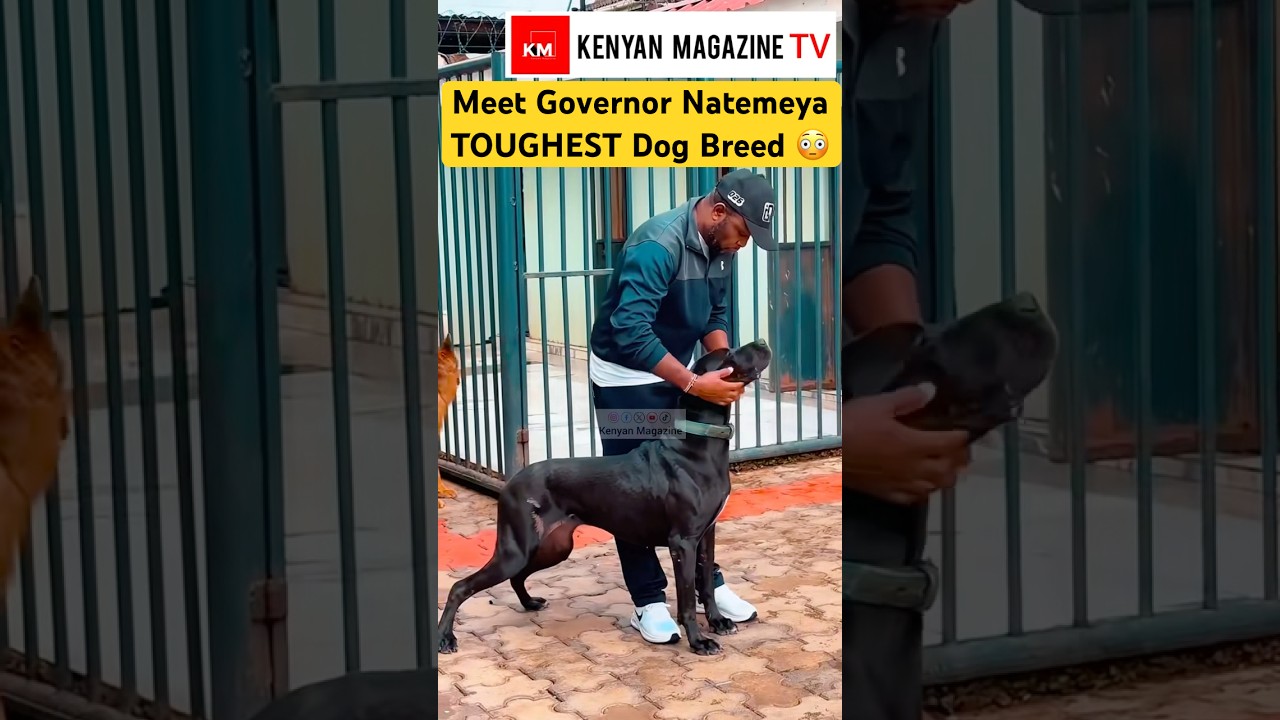 How Trans Nzoia Governor George Natembeya spends most of his Sunday evenings during his free time