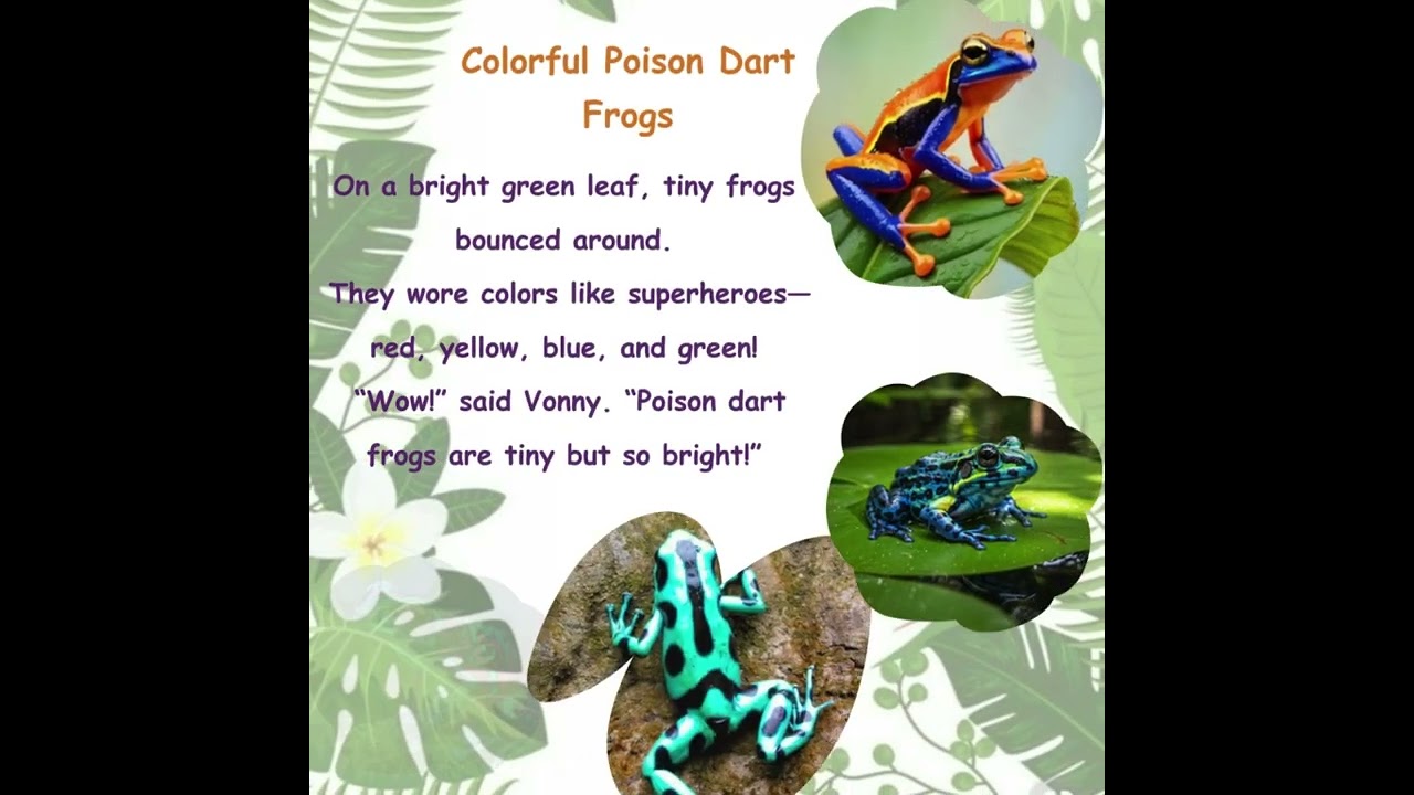 Vonny’s Magical Journey to the Amazon Rainforest | Kids Storytime Adventure 🌿