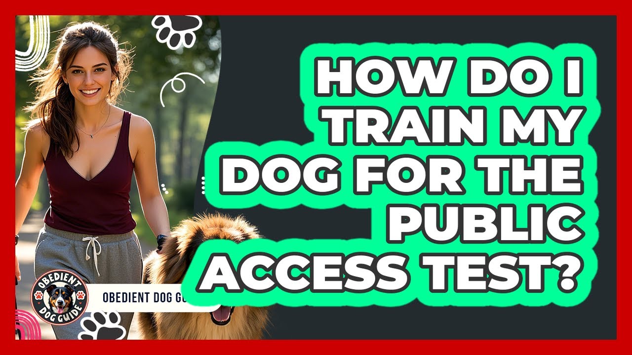 How Do I Train My Dog For The Public Access Test? - Obedient Dog Guide