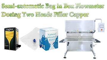 HYBIB-20F  Semi automatic Bag in Box Flowmeter Dosing Two Heads Filler Capper