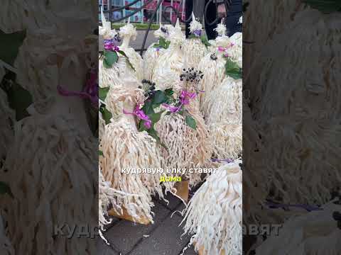 Ближе у новому