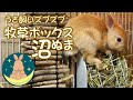 牧草ボックス沼（ぬま）　うさ飼いズブズブ　[28]