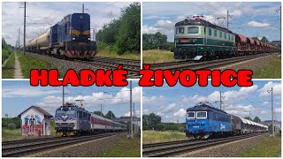 Vlaky Hladké Životice (U tratě) • 2.8.2023