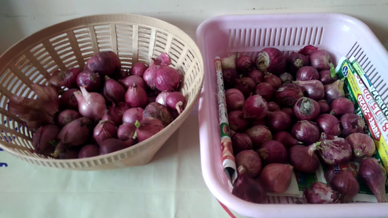 how to store onions for long at home/ ghar me pyaaz jyada dino tak