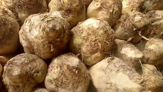 sugar beets recipe