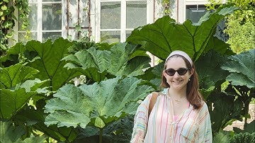 Hortus Botanicus Amsterdam, Netherlands Botanical Garden Tour