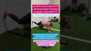 Best BODYWEIGHT Exercise for Low Back PAIN! Bear Crawl Bird Dog Against Wall