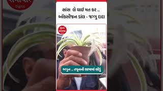 International Yoga Day | 'એ કયા બોલતા તું' ? | Jackie Shroff |   #mumbaisamachar