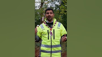 What a transformation! 🚧🛫