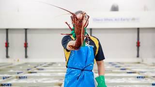 WA Shadow Fisheries Minister speaks on the fishing industry in Geraldton