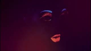 DJ Freshly & Joel Music - Pa' Tras (Abbsolut Remix) #Tribe #Guaracha #Aleteo