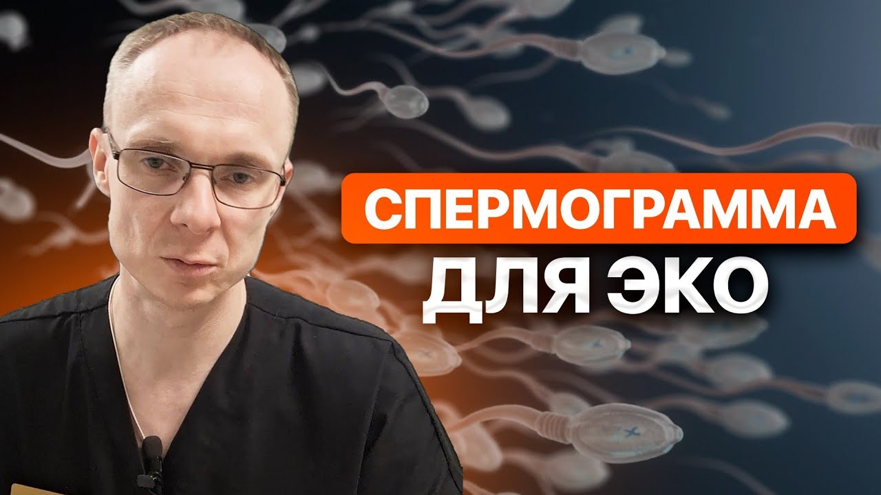Спермограмма для ЭКО. Врач уролог-андролог. Москва.