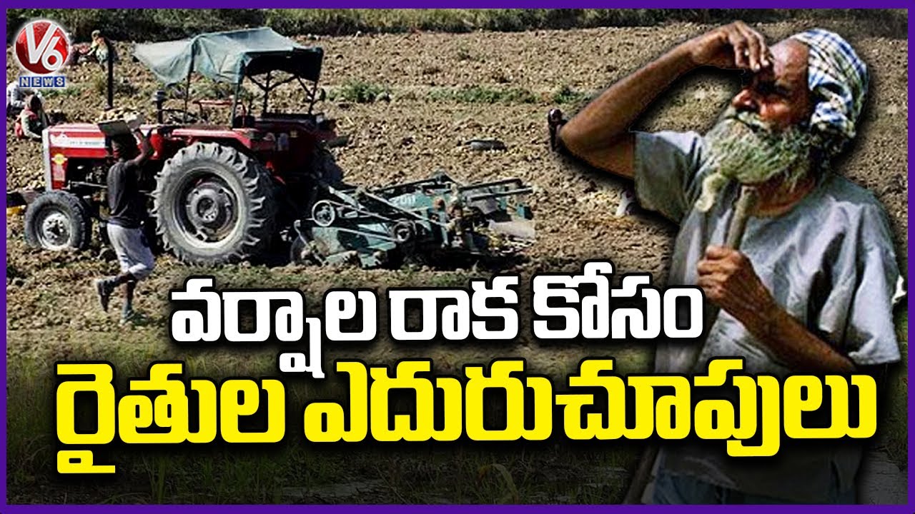 Farmers Facing Difficulties Due Lack Of Rainfall | Warangal | V6 News ...