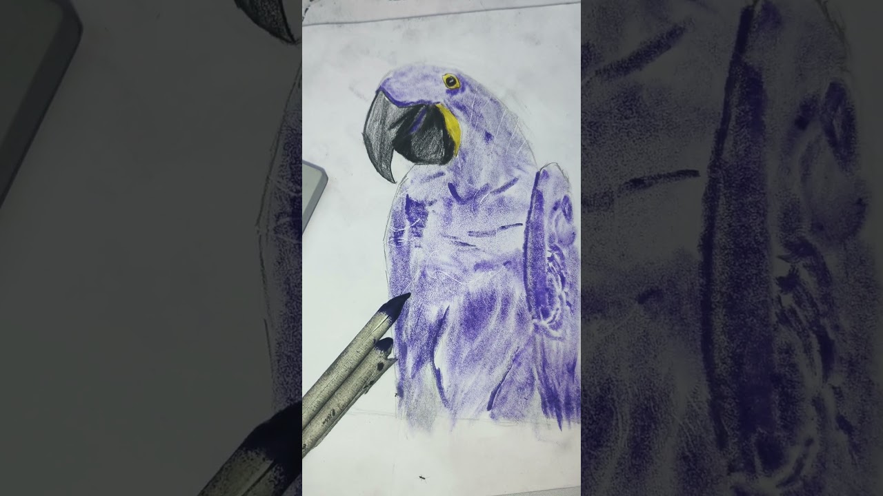 draw a macaw with stamp ink 