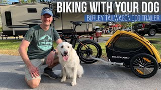 Burley TailWagon Dog Trailer Review // Rad Power Bikes [EP 56]