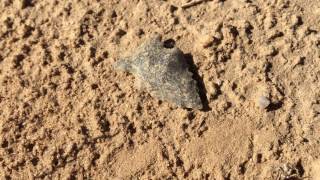 PERFECT Arrowhead, GREAT Nation! ~ 487 Artifact Find! Nov 8, 2016