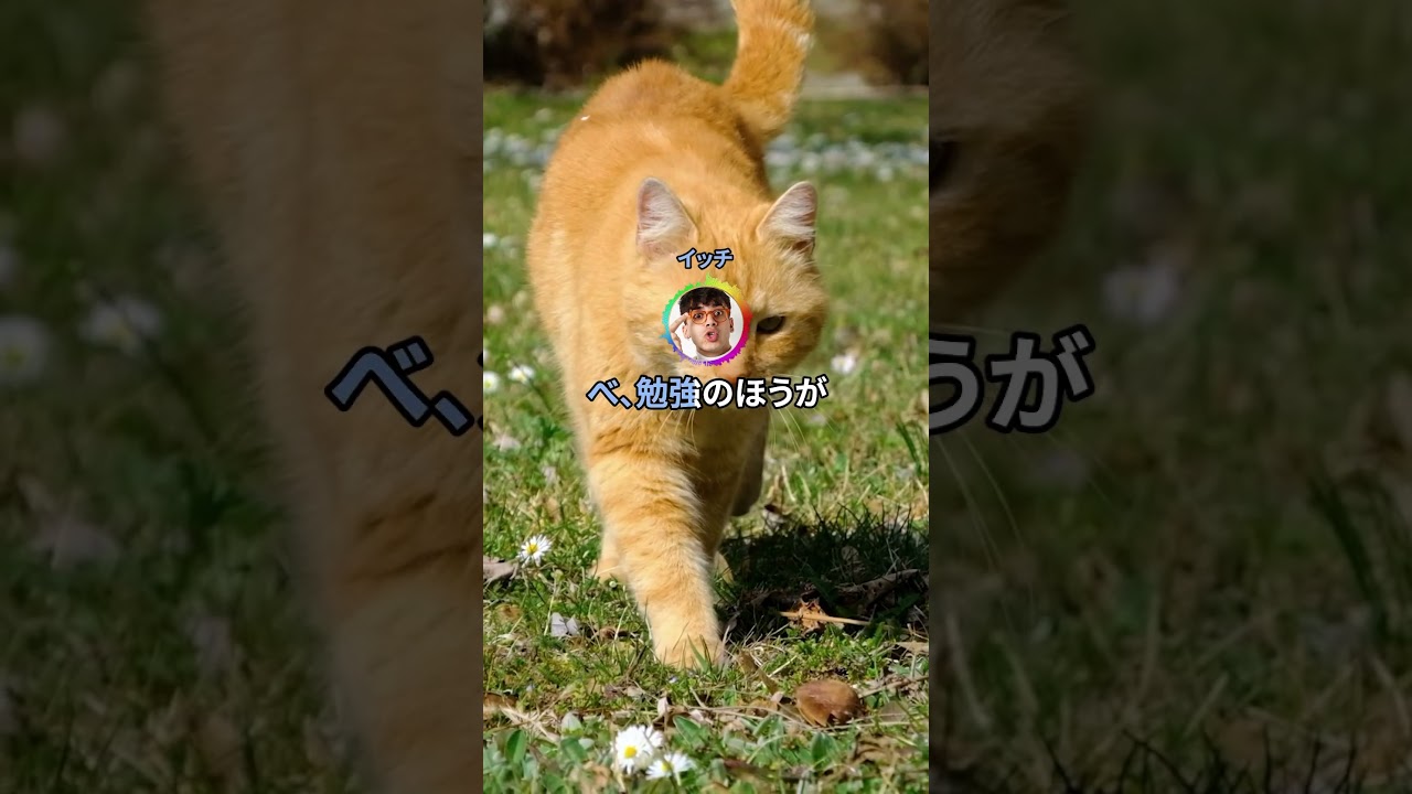 女抱いたりしてる時間無駄だと思わないんか？www  #shorts