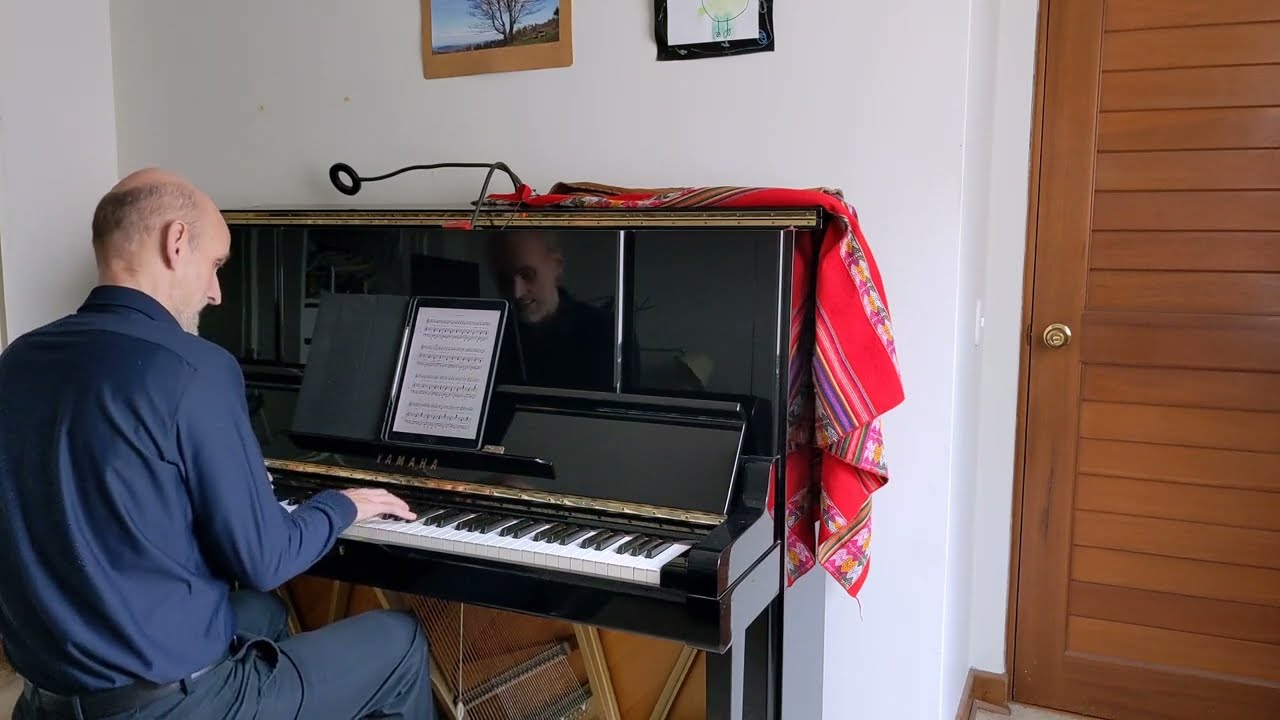 La picaronera - Rosa Mercedes Ayarza - karaoke - acompañamiento