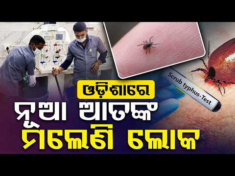 ଓଡ଼ିଶାରେ ନୂଆ ଆତଙ୍କ... | Scrub Typhus Alert in Cuttack | Health Dept Warning | Argus News