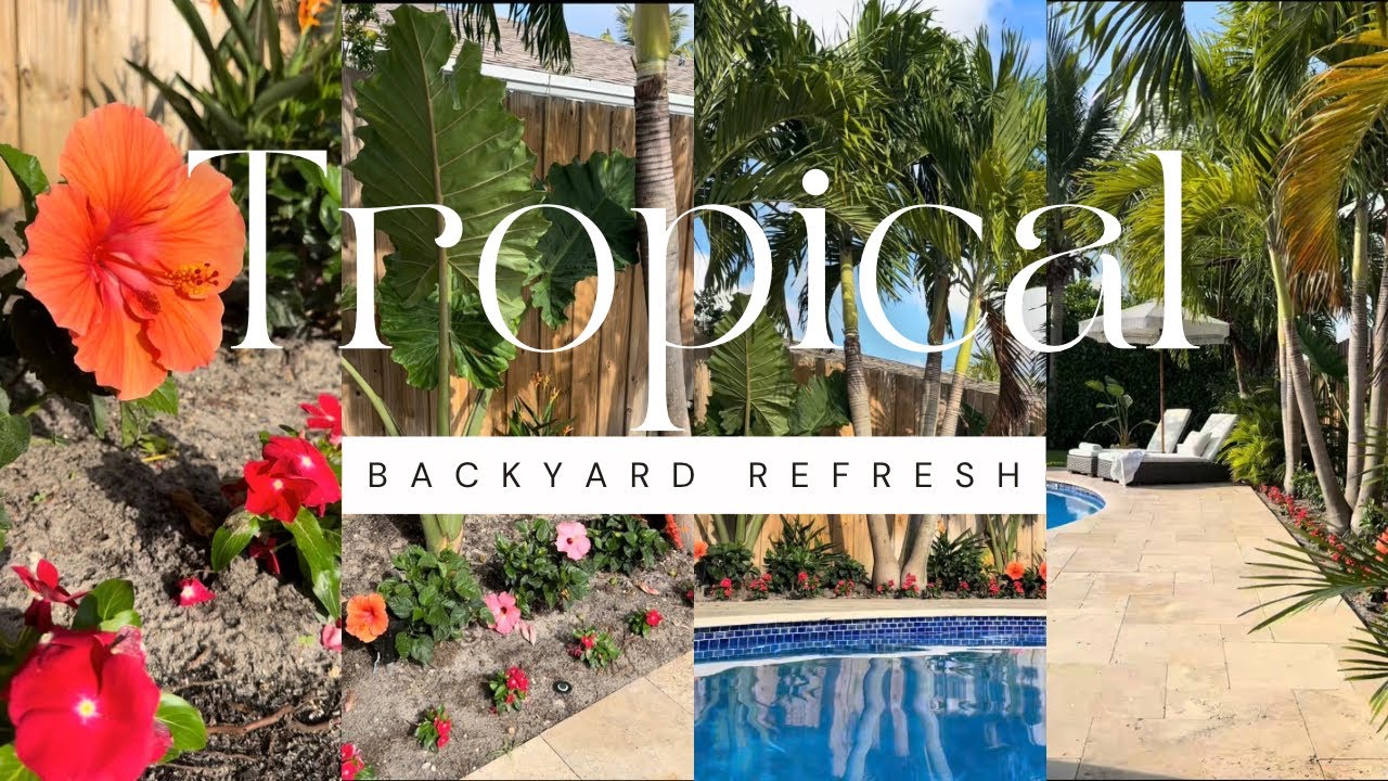 Tropical Backyard Makeover