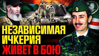 Свобода Ичкерии живет в бою: путь домой батальона имени Шейха Мансура