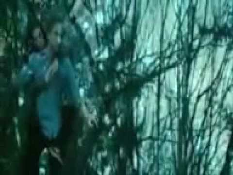 بعشقك راغب علامة 3 