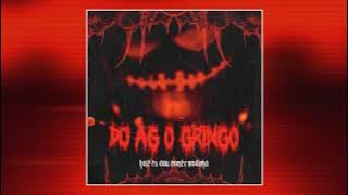 DJ AG O GRINGO - HOJE EU VOU COMER NOVINHA 02