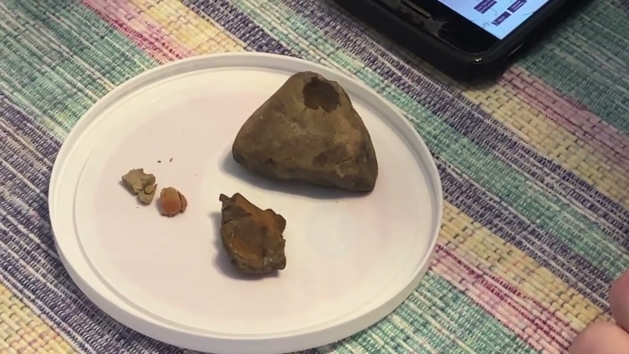 Standard Operating Procedure: The Basics of Identifying Common Sedimentary Rocks