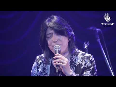小野正利 (Galneryus) - キレイだね LIVE 2023
