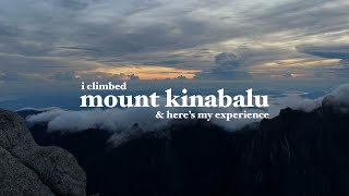 climbing mt kinabalu & exploring kota kinabalu: a vlog
