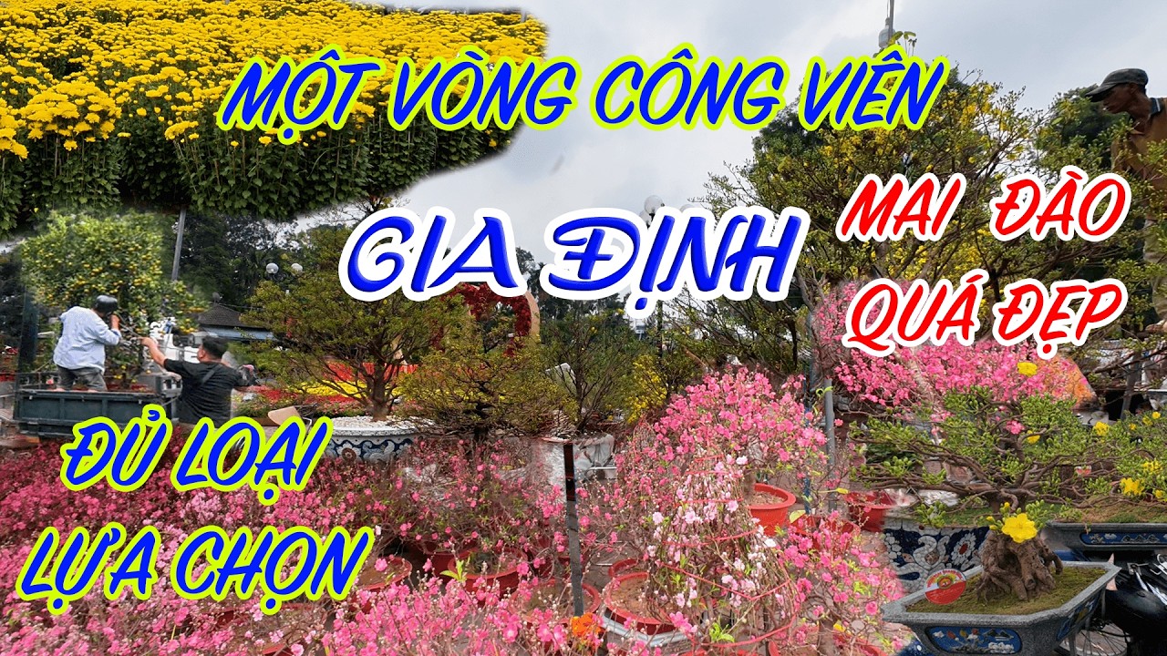 Không Khí Mua Bán Hoa Tết Nhộn Nhịp 2026 - Chạy Xe 1 Vòng Công Viên Gia Định 🌸