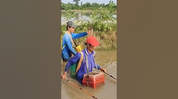 cặp đôi xiệt ếch quá hay