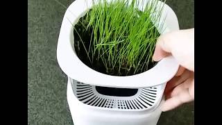 Nobico NBO-J0009 air purifier