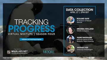 Virtual Meetup: Data Collection in Movement Ecology