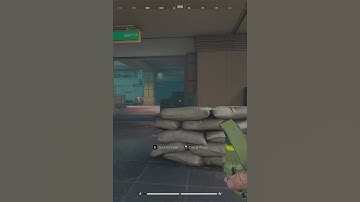 pineapple for a camper #ArenaBreakoutPC #ArenaBreakoutInfinite #ABISeasonIGNITION