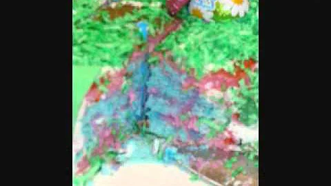 baby video_0001.wmv