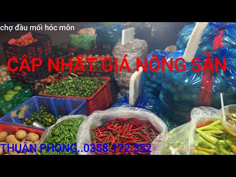 Video 265#CÀ CHUA,CHANH ĐÀ LẠT,ỚT XIÊM XANH,KHOAI LANG,KHOAI... - youtube