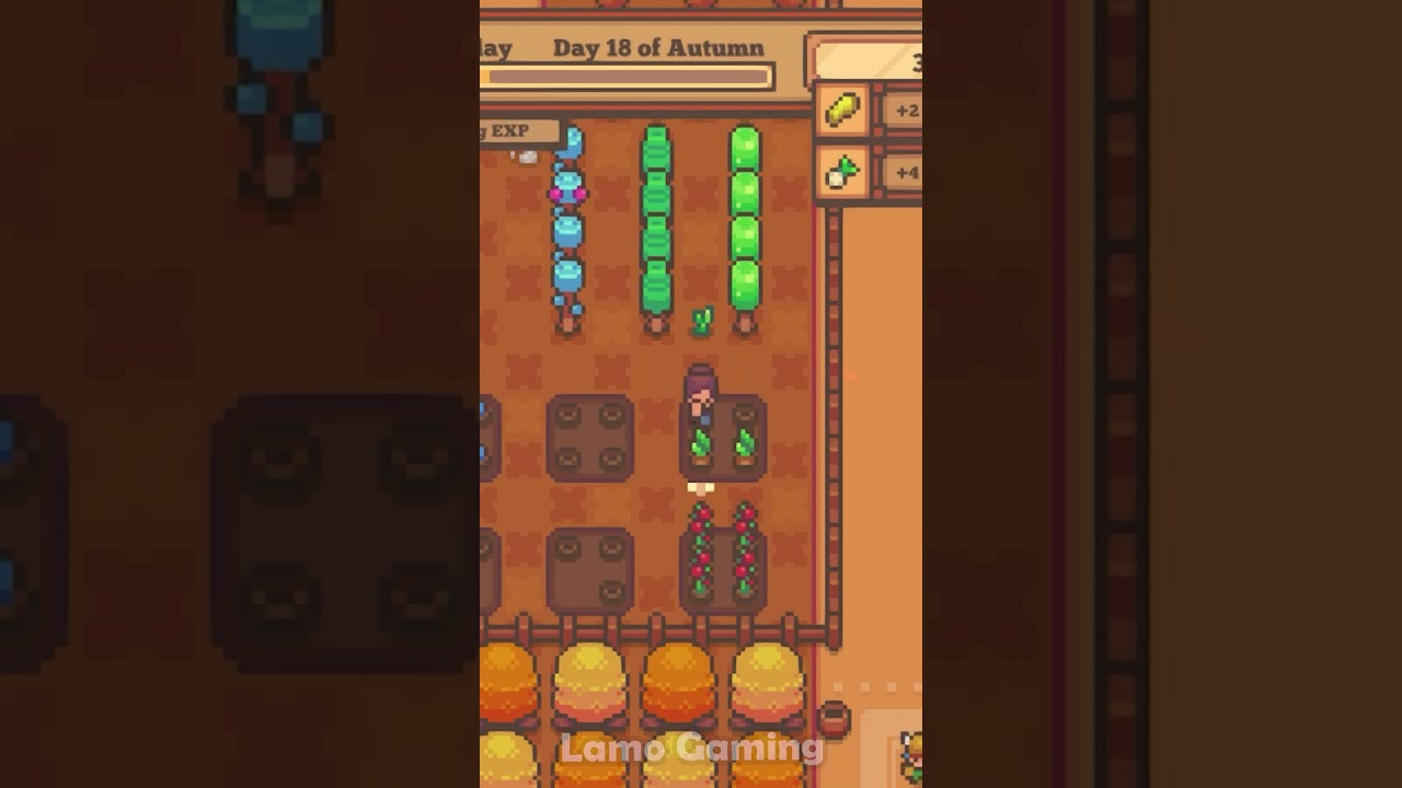 Should You Play Littlewood?