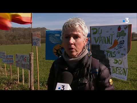 Projet de surf park à Saint-Père-en-Retz : des opposants mobilisés