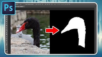 How to Use Masks in Photoshop: Beginner