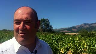 How does Chilean Carignan and Priorat taste Winemaker interview with Fernando Almeda