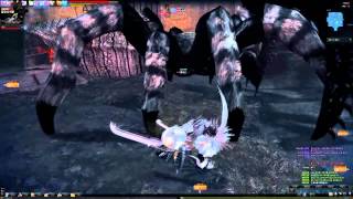 Vindictus]Test Server 13k SwordLann vs Queen [+the reason why I asked the cleartime question]