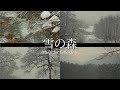 雪の森と優しいチェロ　信州大町（自然映像とBGM/心身浄化・癒し）music for cello only