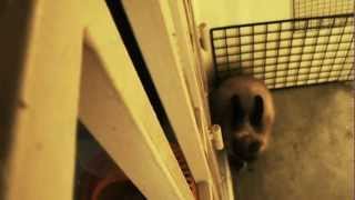 Orhpi Gets Comfort From Hani After His Visit To Vet