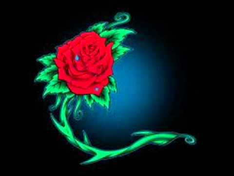 DJ Zaan - Endings
