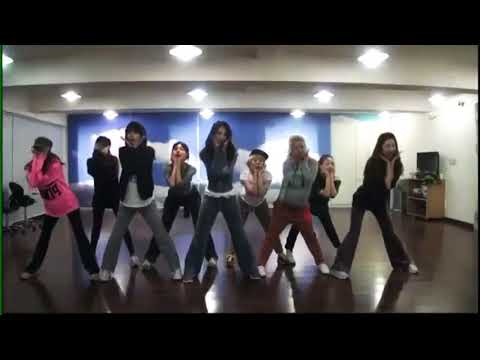 SNSD - I Got a Boy Dance Practice (Mirrored)