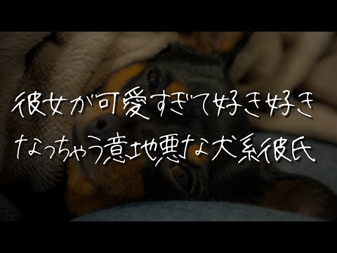 【女性向け】意地悪な犬系彼氏に構ってしてみたら彼女が可愛すぎて好き好きなってしまう【シチュエーションボイス/睡眠導入/ロールプレイ/バイノーラル/甘々/ハグ】 #asmr