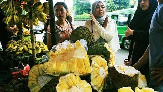 Download Lagu Melihat Pusat Penjualan Buah Nangka Kupas Khas Bogor MP3