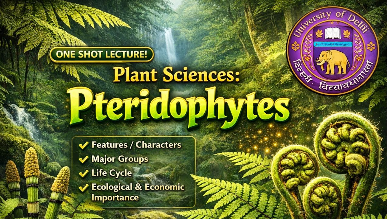Pteridophytes One Shot Lecture | Plant Sciences | Features, Major Groups, Life Cycle