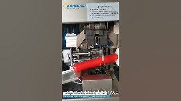 Automatic Sausage Filling Twisting Machine